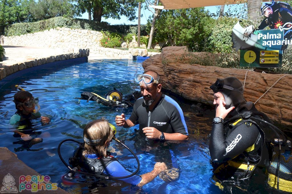 Palma Aquarium en familia, Mallorca con Niños, buceo con rayas