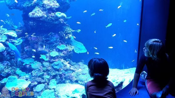 Palma Aquarium en Familia - Mallorca con niños