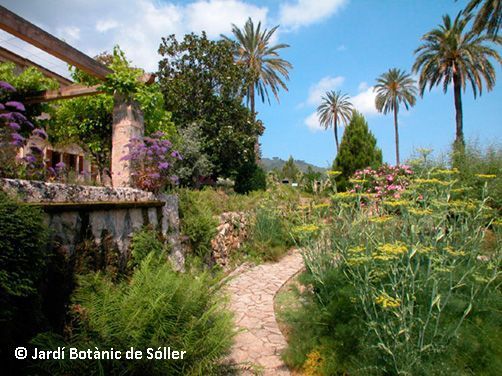Jardin Botanic Sóller, Mallorca 