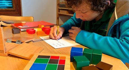 Montessori Mallorca: Infantil, Primaria y secundaria: la Innovación educacional en Mallorca