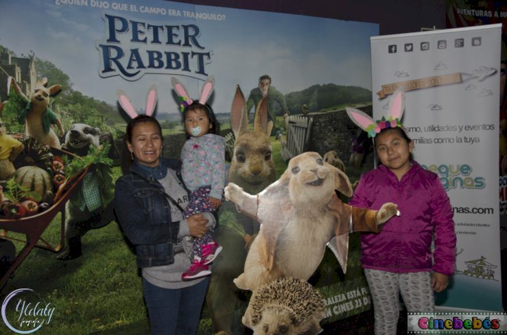 cinebebes Peter rabbit 13